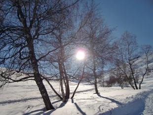 StepStone Niederlande zukünftig von Belgien aus betreut