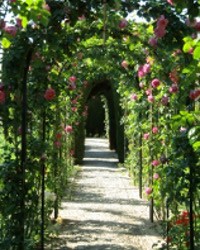 Careerbuilder, CB Instant, JobScout24.de und Joblocal – hm…