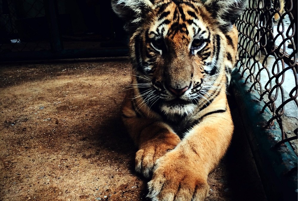 MobileJob erhält Finanzierung vom High Tech Gründerfonds