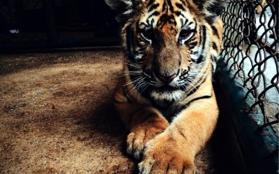 MobileJob erhält Finanzierung vom High Tech Gründerfonds