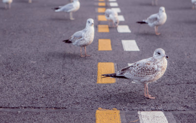 Mal was Anderes machen – katialo