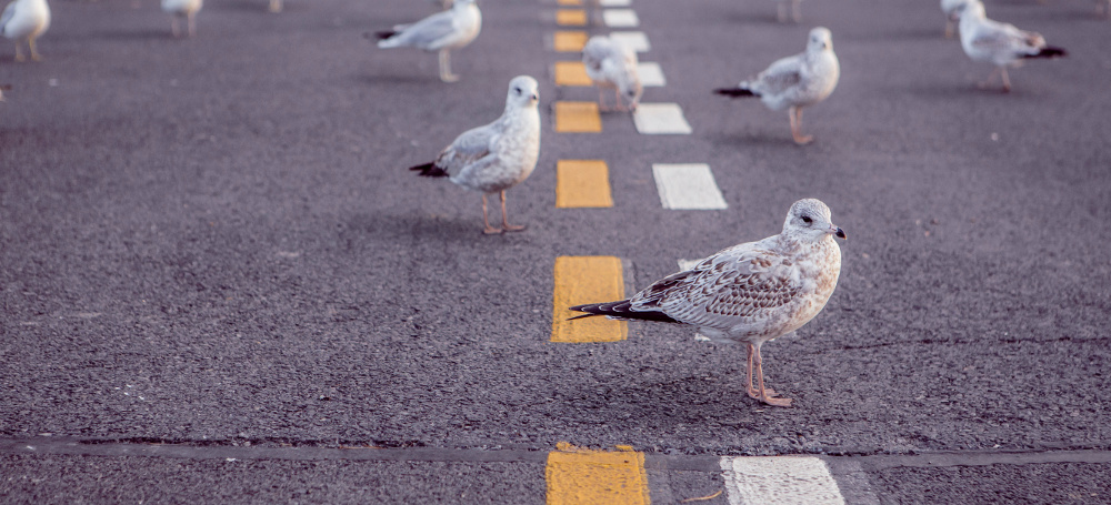 Mal was Anderes machen – katialo