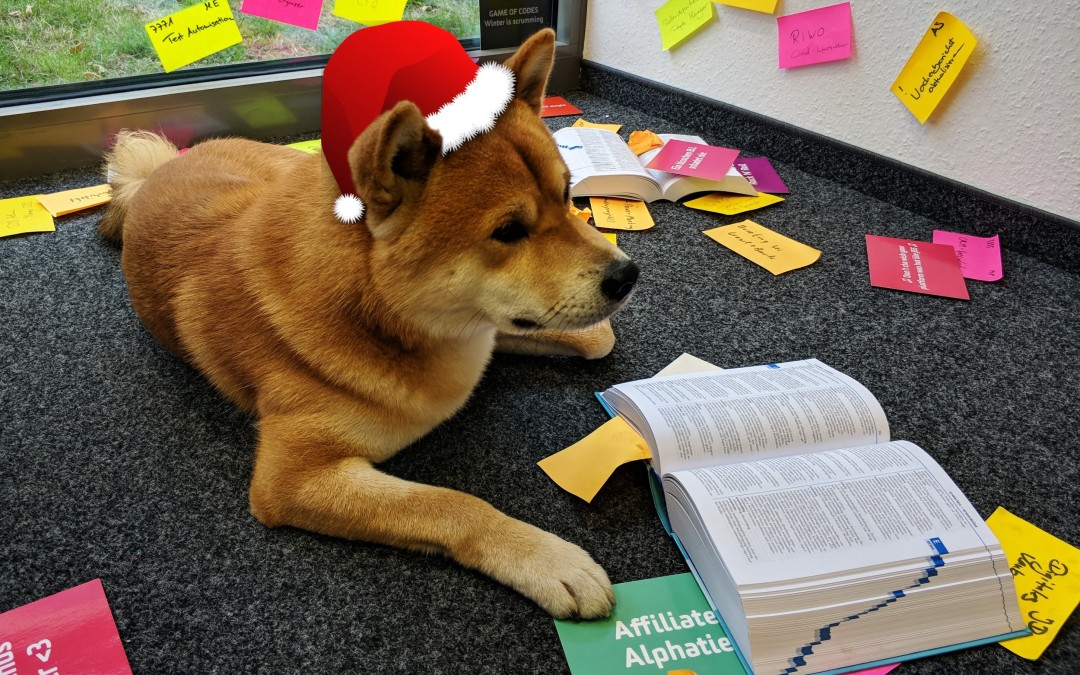 Agil im Team, agil im Kopf? Auf dem Weg zur agilen Personalberatung, Monat 5