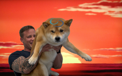 The Circle of Scrum. Wie wir auch im 9. Monat unseres agilen Changes das Mindset hochhalten