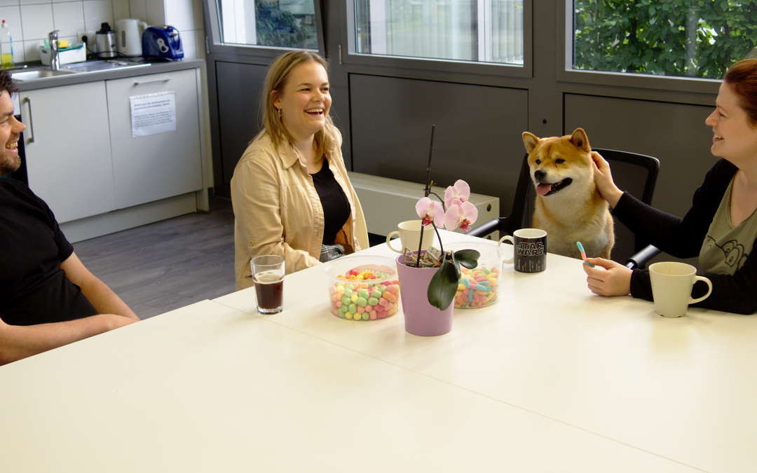 Auf dem Weg zur agilen Personalberatung, Monat 11: Außenwirkung von Agilität in der Personalbranche. Wie kommt die erste agile Personalberatung Deutschlands an?