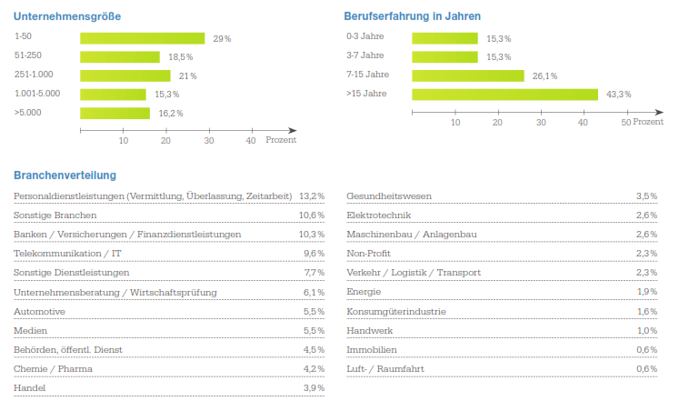 Aufteilung der Teilnehmer nach Funktion, Berufserfahrung und Unternehmensbranchee