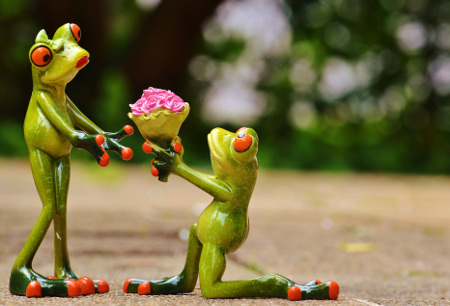 frog-image-flowers_450
